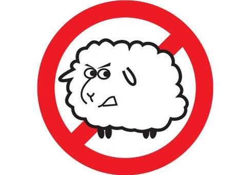 овцы против матрасов